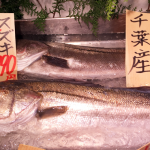 出世魚といえば、スズキ!