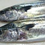 鰆(さわら)の旬は二つある!
