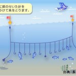 延縄(はえなわ)漁業