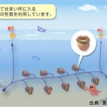 たこつぼ漁業