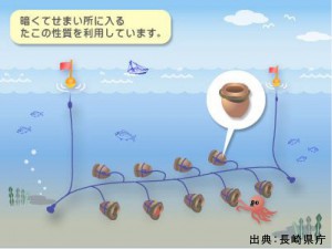 たこつぼ漁業