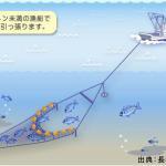 小型底びき網漁業