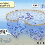大中型まき網漁業