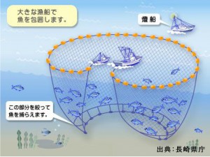 大中型まき網漁業
