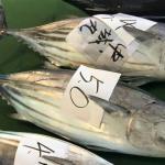 久礼漁港(高知県)