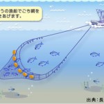 吾智(ごち)網漁業