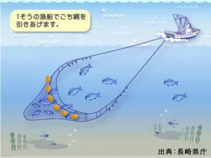 吾智(ごち)網漁業