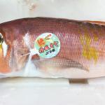 丹後ぐじ(甘鯛)