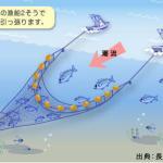 船曳(ばっち)網漁業