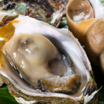 能登半島の天然岩牡蠣