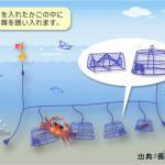 かご漁業
