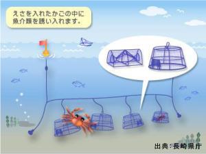 かご漁業