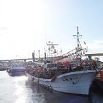 青森県八戸漁港