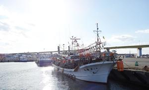 青森県八戸漁港