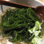 生コンブ(昆布)