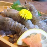 シャコ(蝦蛄)