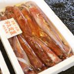 漁獲の効率化と資源保護のため漁業にIT導入