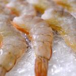 一度に食べきれない魚は冷凍保存でいつでもおいしく