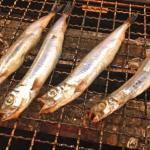 柳葉魚(シシャモ)