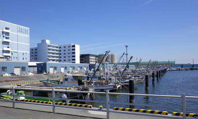 都会の真ん中の小さな漁港…横浜本牧漁港