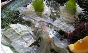 日本のイカはなぜ美味しいのか