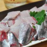 高級魚になったり大衆魚になったりとワタシは忙しい・マイワシ物語