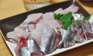 高級魚になったり大衆魚になったりとワタシは忙しい・マイワシ物語