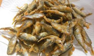 モジャコ漁、養殖業者にとって大切な仕事です