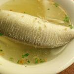 サバヒー!?どんな魚?
