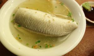 サバヒー!?どんな魚?