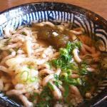 魚を使った健康料理~魚うどん~