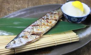 秋の味覚・秋刀魚に不漁の危機