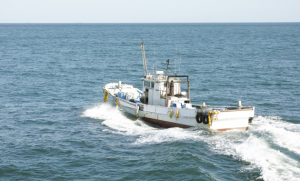 私が合羽に着替えたら…漁師体験記(その1)