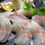 海の歌舞伎役者…イシダイ