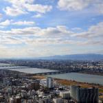 大阪湾は魚の宝庫、都会と共生する漁業