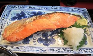 サケの餌にＤＨＡ・ＥＰＡ加え、母川回帰率アップ