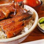 謎の多いウナギの産卵地を環境DNA鑑定で解明