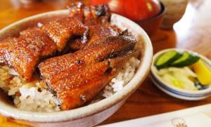 謎の多いウナギの産卵地を環境DNA鑑定で解明