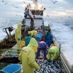 漁獲制限 ノルウェーに学ぶ