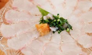 漁法の転換と水産資源の保全へ…青森県八戸