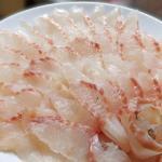 冬の魚。ヒラスズキ
