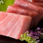 マグロの鱗と皮のコラーゲン
