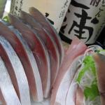 三浦半島にいる黄金色に輝くサバを求めて…松輪サバ