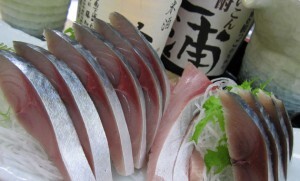 三浦半島にいる黄金色に輝くサバを求めて…松輪サバ