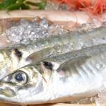 魚にもワクチンを