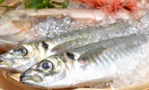 魚にもワクチンを