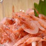 静岡県の桜えび秋漁まっさかり