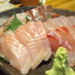 魚の遺伝子見地から考察した放流事業