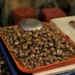 台湾お魚食べ歩き その2