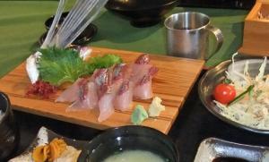 屋久島周辺のトビウオミステリー